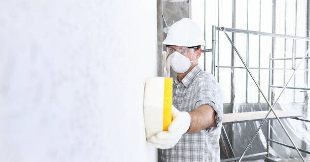 Trusted Jonesborough, TN Mold Removal Services Experts